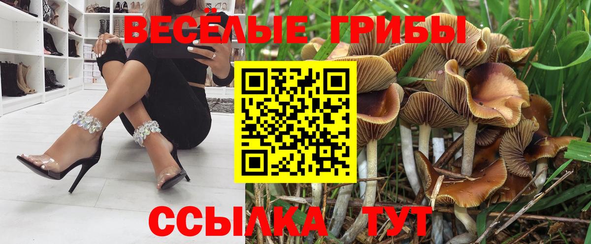 НБОМе Десногорск