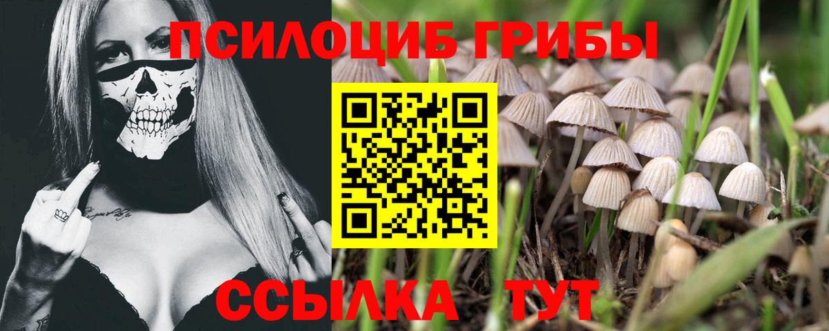 Галлюциногенные грибы Psilocybe  Галлюциногенные грибы MAGIC MUSHROOMS  Десногорск  Вход с VPN 