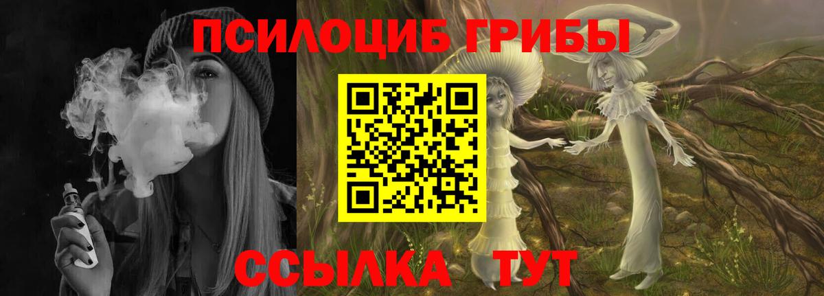 Галлюциногенные грибы прущие грибы Десногорск