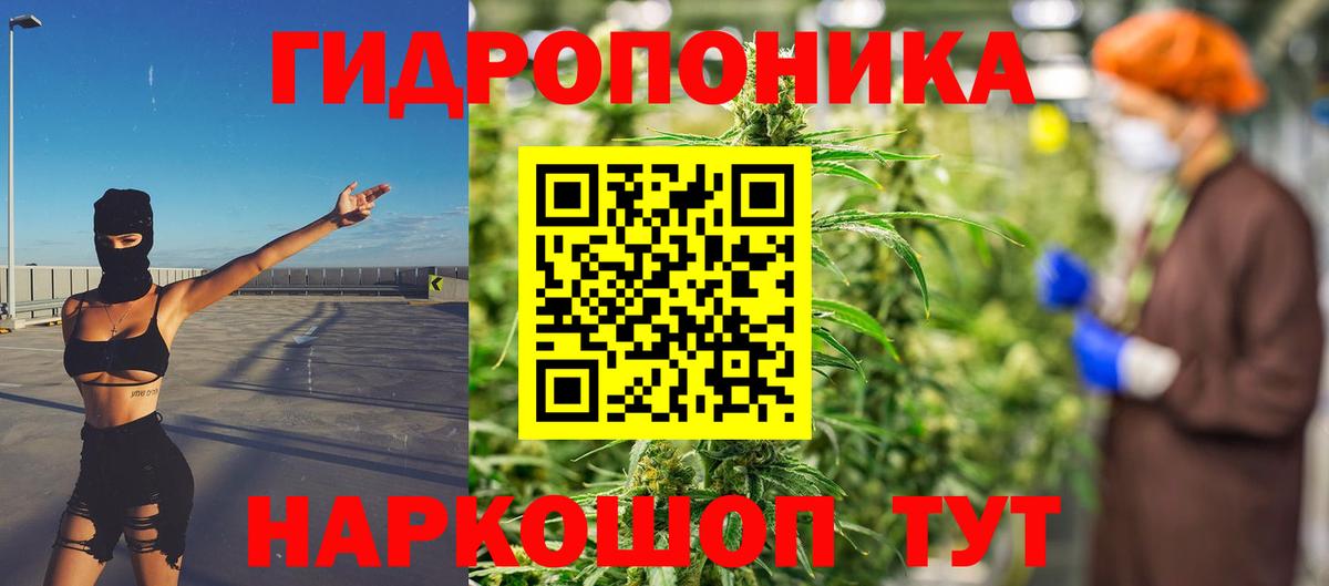 Шишки марихуана OG Kush  Вход с VPN  МАРИХУАНА White Widow  Десногорск  Марихуана Bruce Banner  Бошки Шишки конопля 